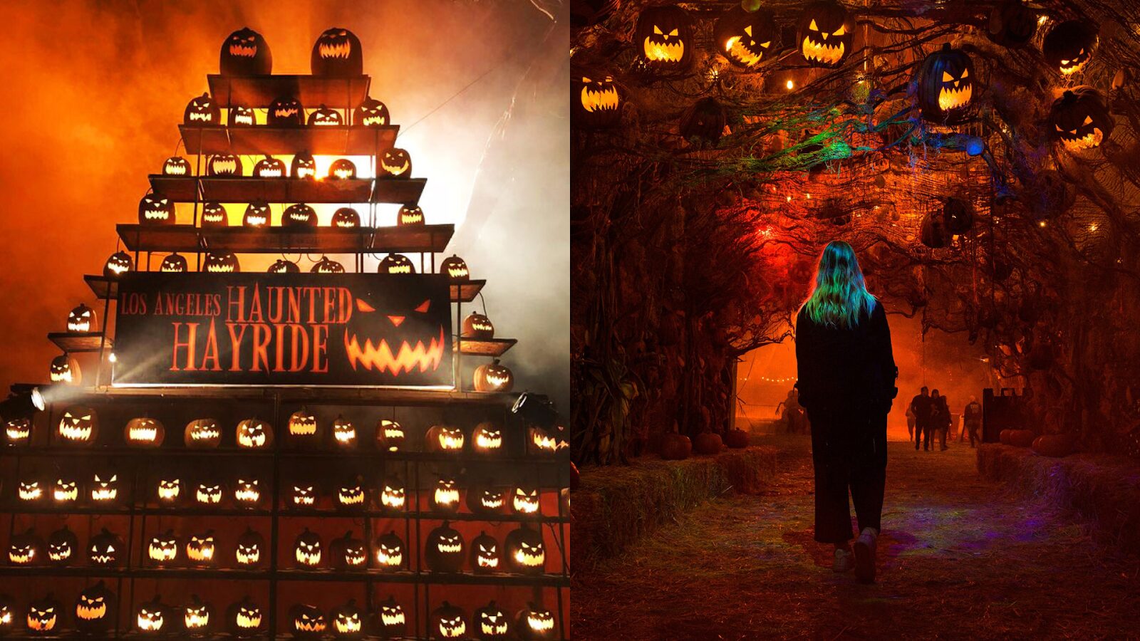 Spooky fun! Unique Halloween activities to do in Los Angeles